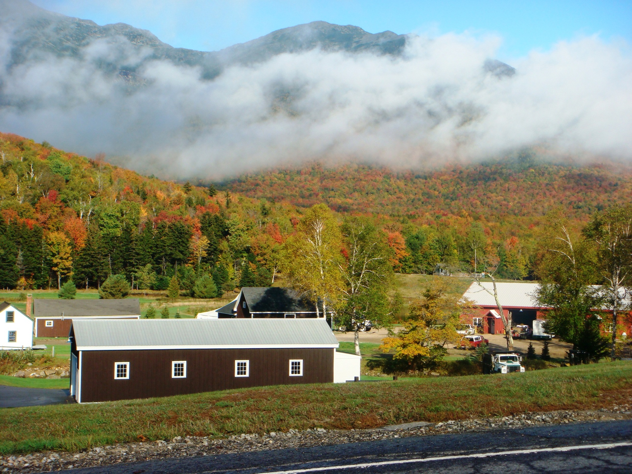 White Mountains Foliage (user submitted)