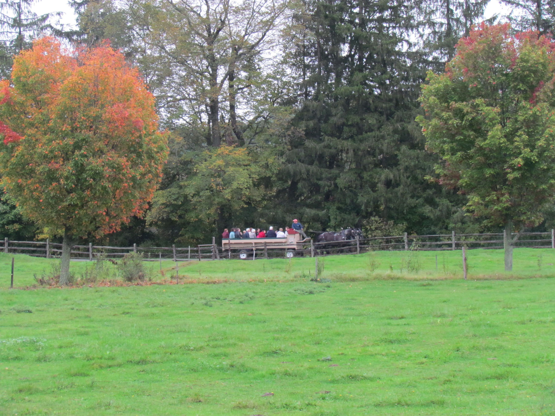 Autumn Wagon Ride At Billings Farm &amp; Museum (user submitted)