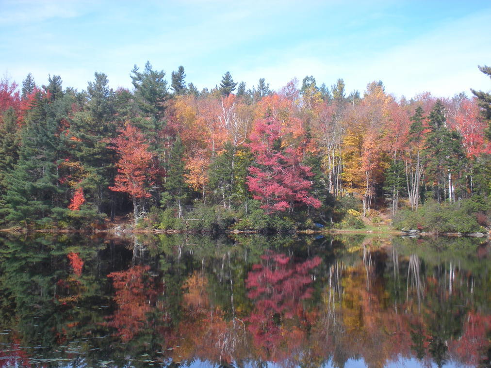 Berkshire Mountain Pond (user submitted)