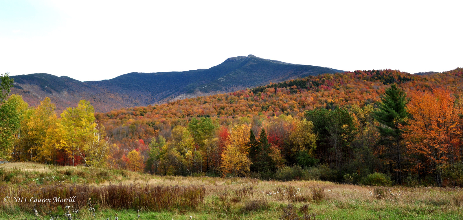 Mt. Mansfield Majesty (user submitted)