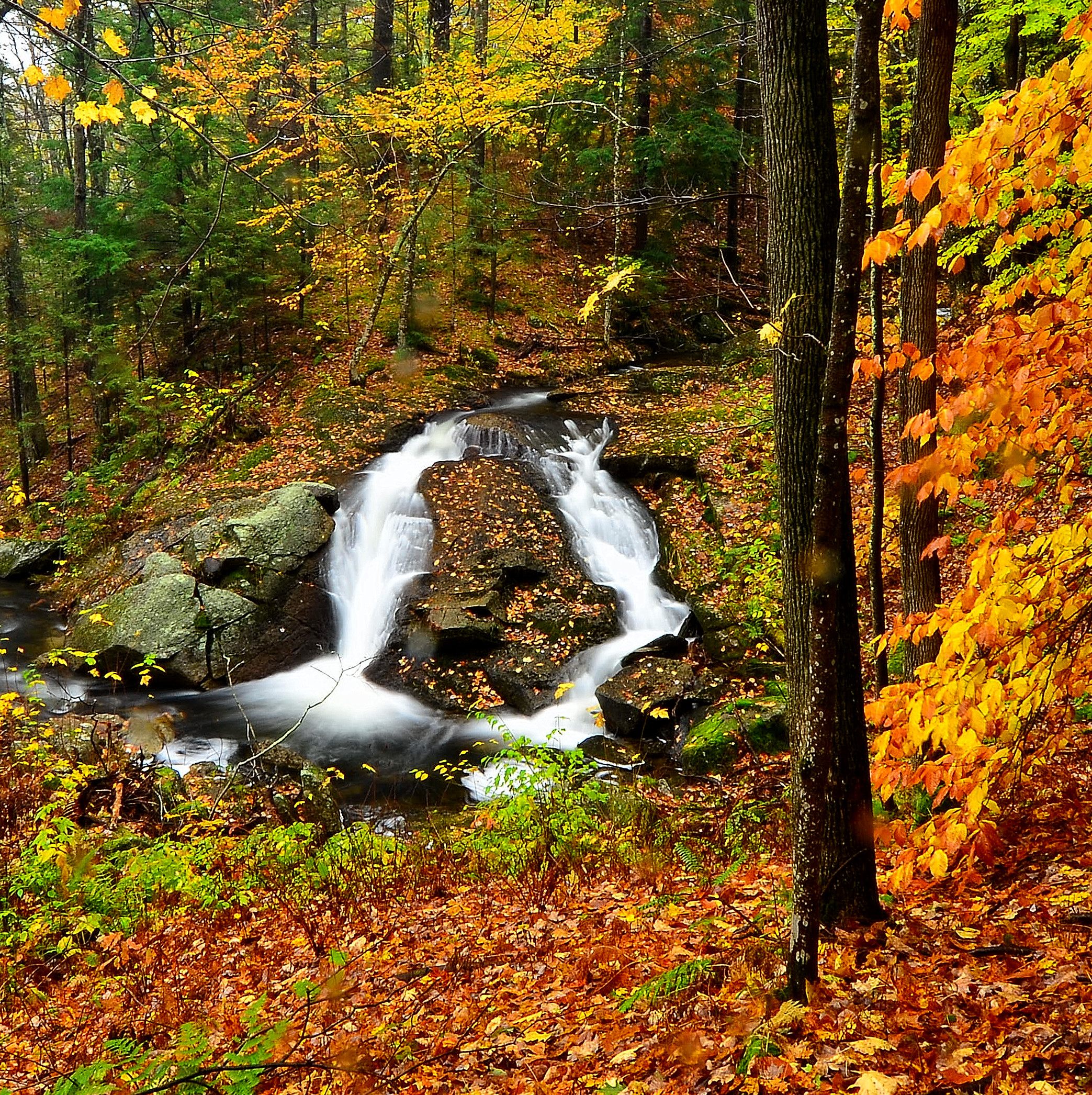 Lower Falls Bailey Brook In Nelson, Nh (user submitted)
