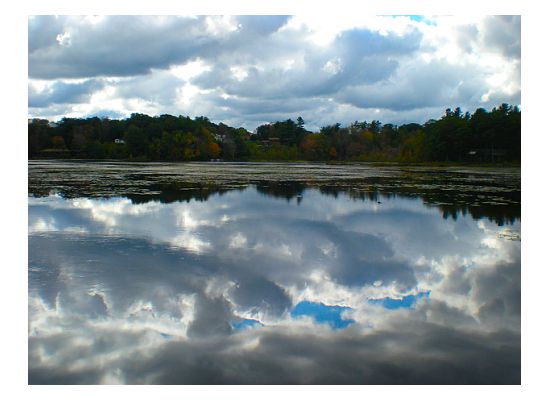 Incredible Marlborough Lake Reflection  (user submitted)