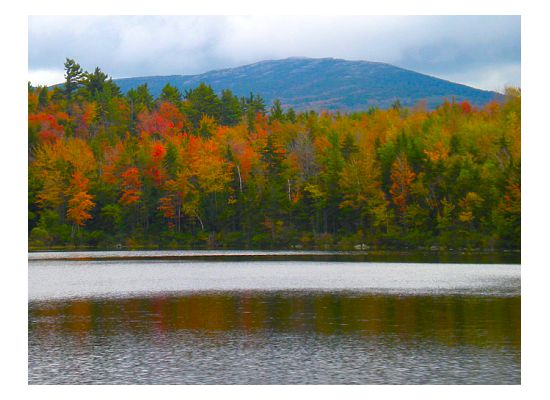 Beautiful Monadnock Foliage (user submitted)