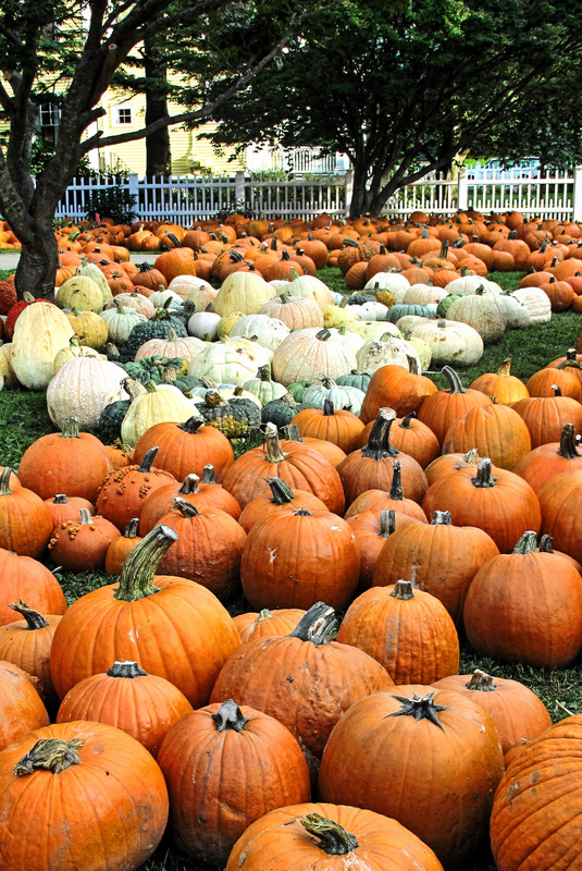 Pumpkin Colors In Portsmouth, Nh (user submitted)