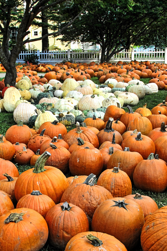 Pumpkin Colors In Portsmouth Nh New England Today Pumpkin Colors In Portsmouth Nh New England Today