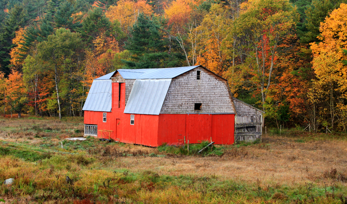 Red Barn (user submitted)