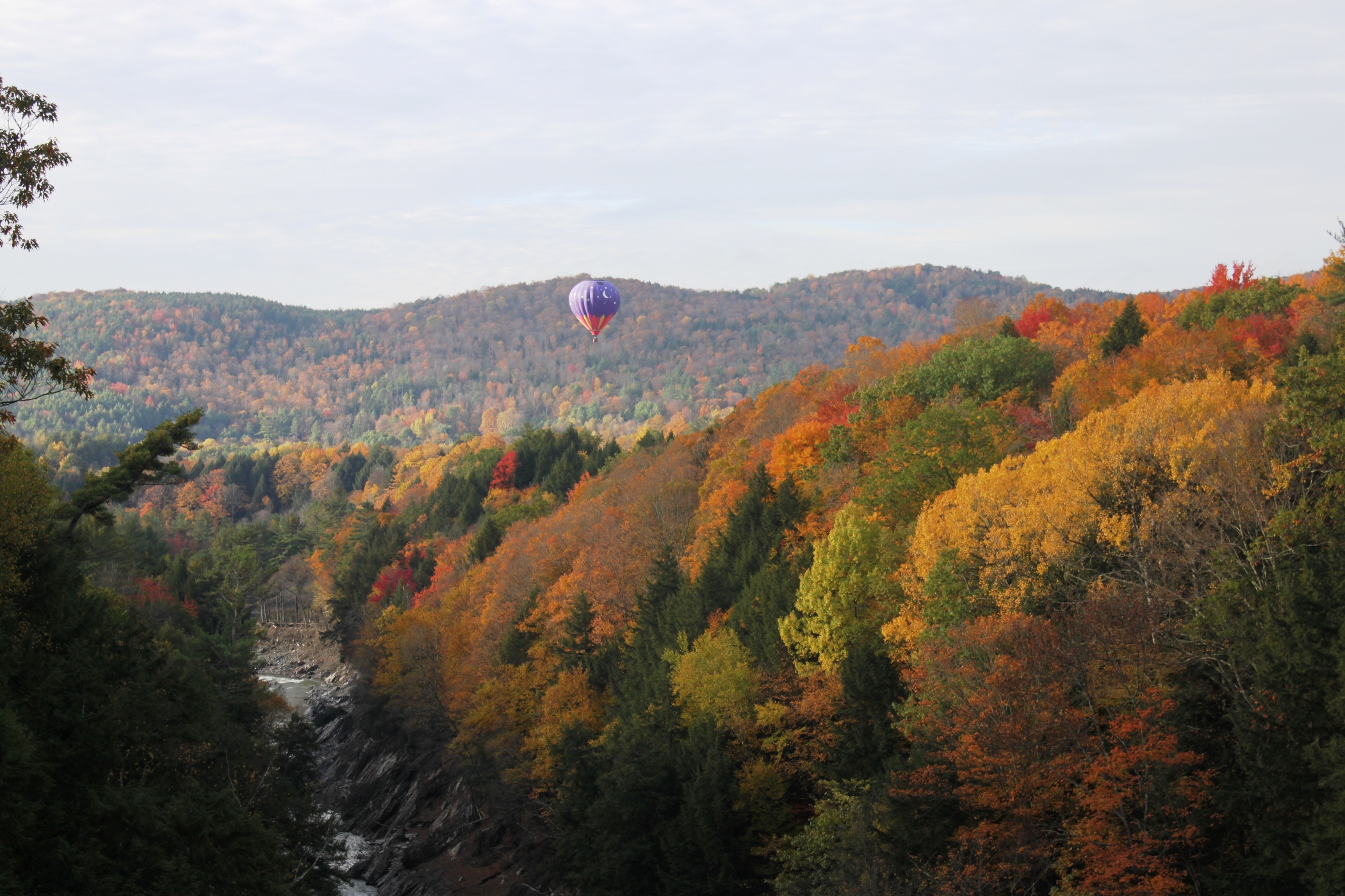 Which Is More Colorful &#8211; Balloons Or Foliage (user submitted)