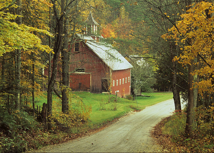 Barn On Winding Dirt Road In Peacham, Vermont