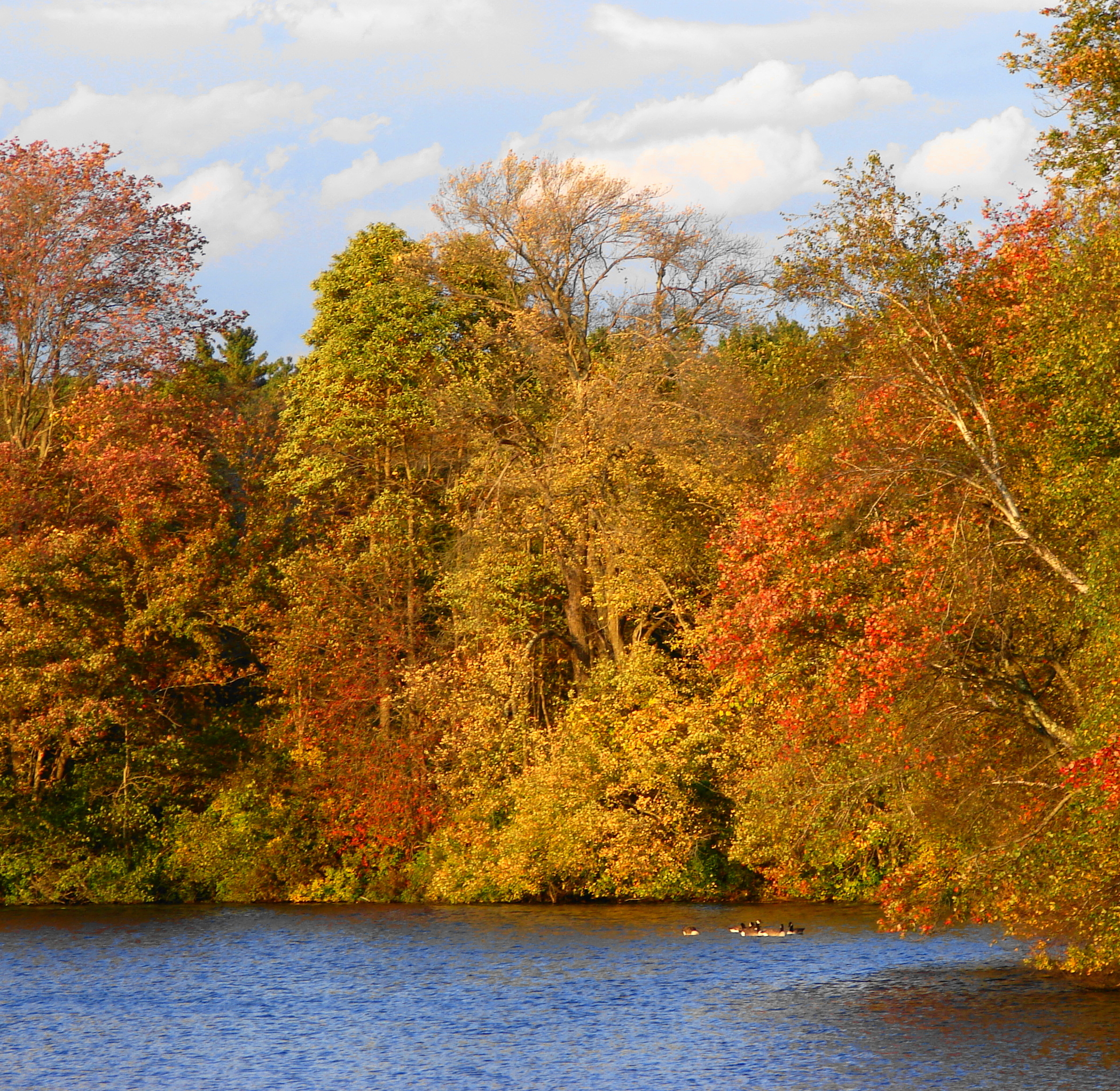 Foliage On Jacobs Pond (user submitted)