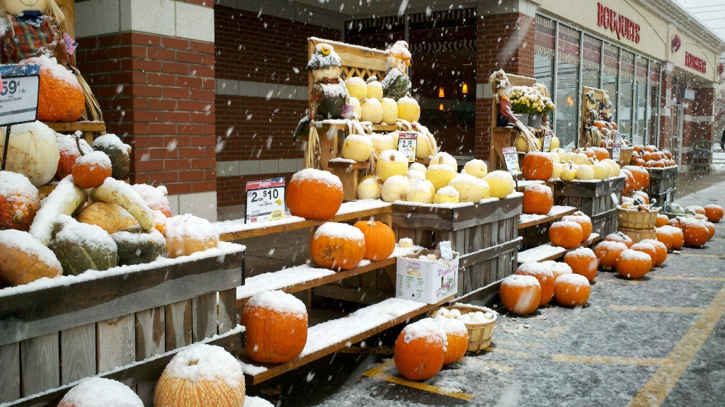 Frosted Pumpkins (user submitted)