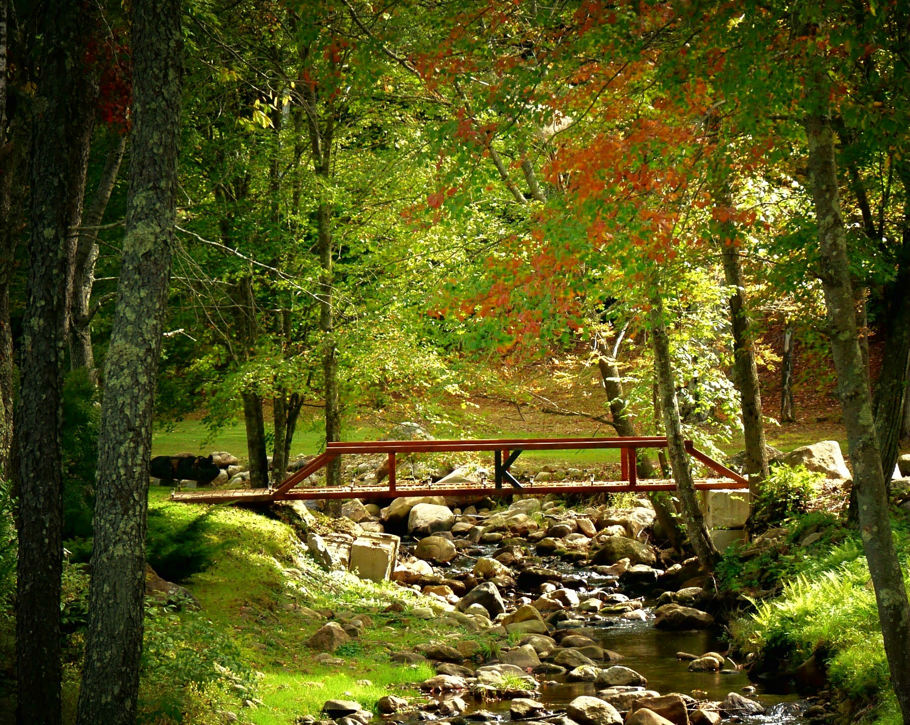 Fall Footbridge (user submitted)