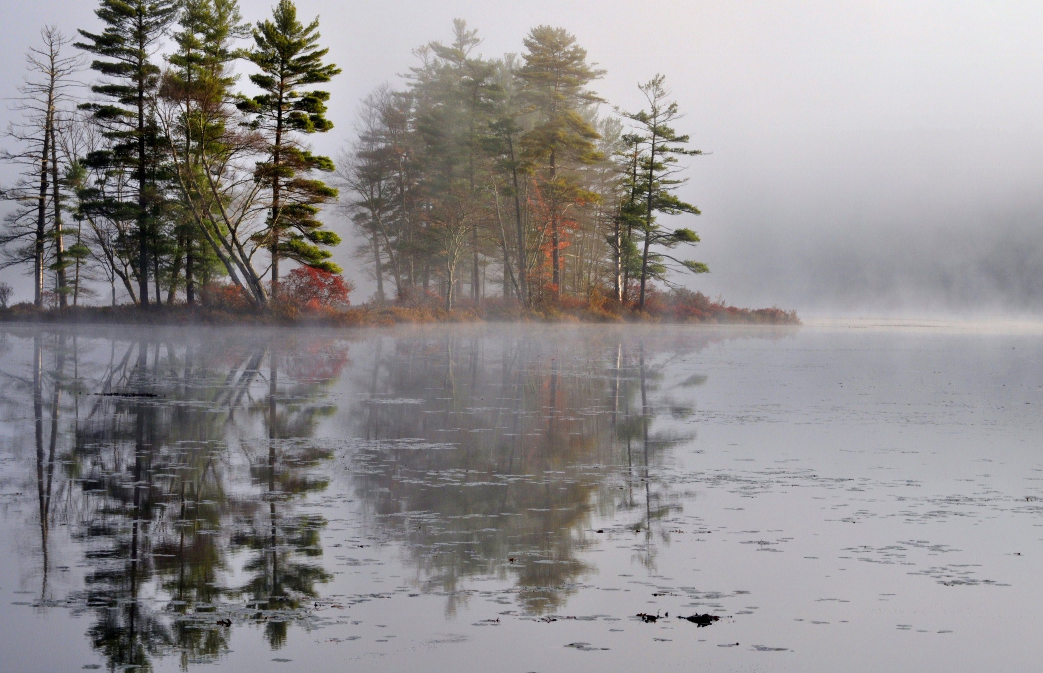 Dawn At Harvard Pond (user submitted)