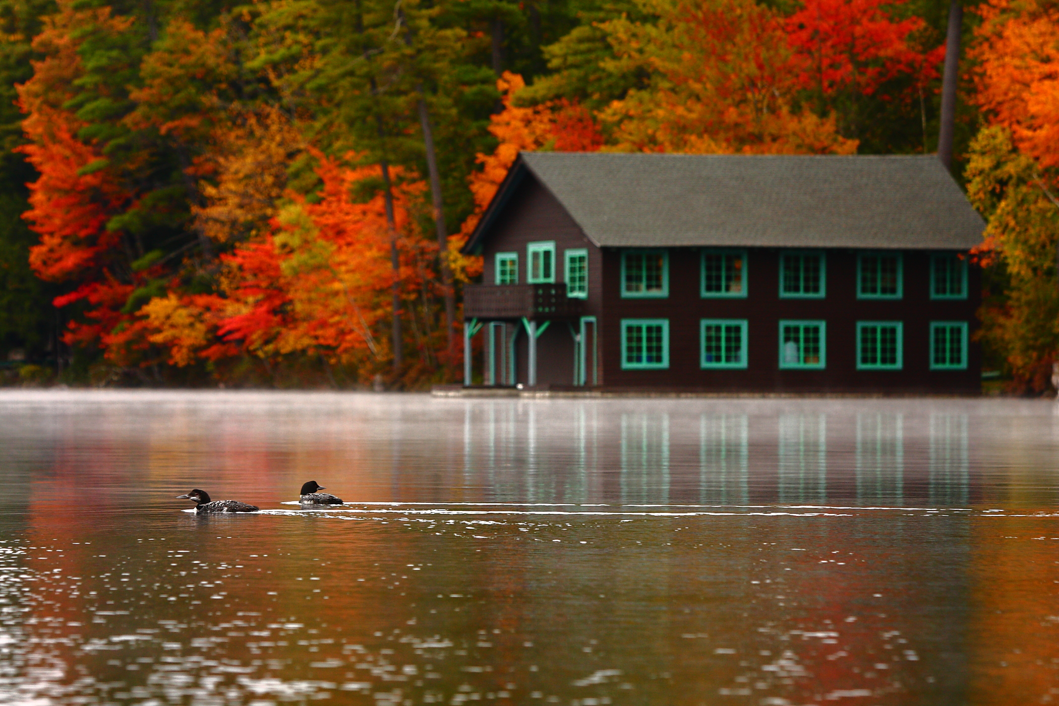 A Fall Morning In Bridgton, Maine (user submitted)