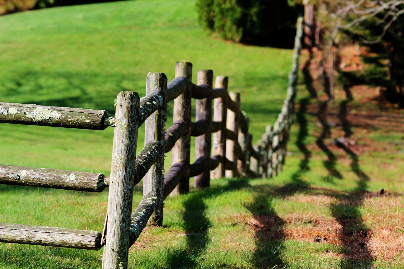 Old Fence (user submitted)