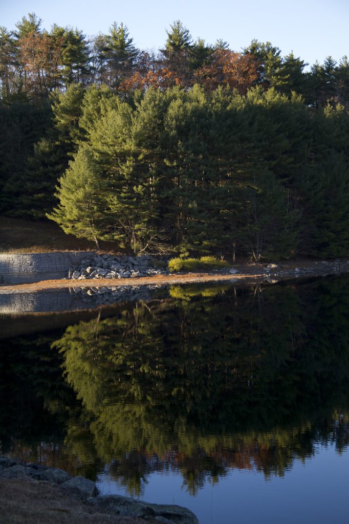 Barkhamsted Reservoir Shoreline New England