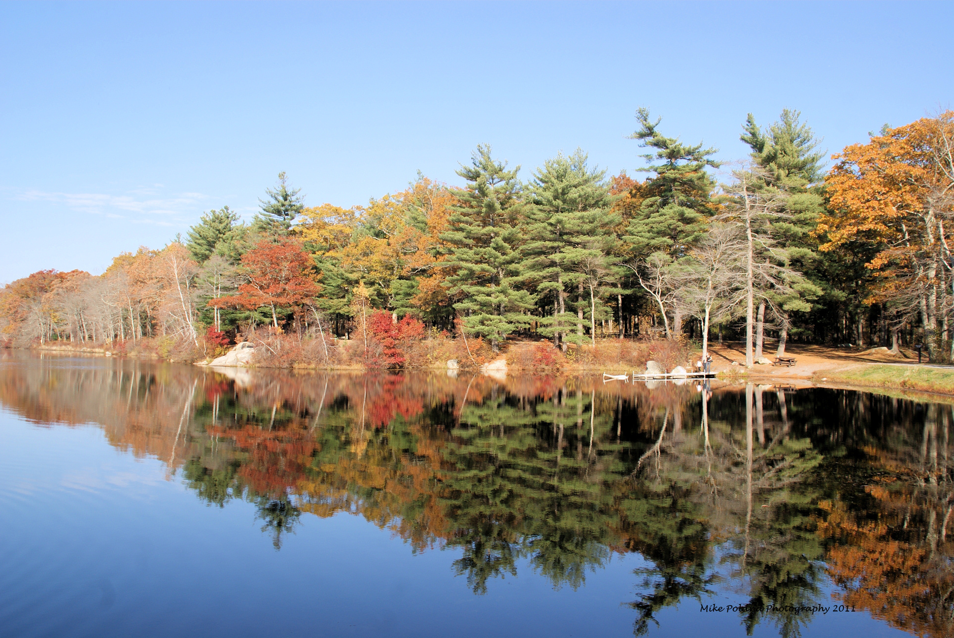 Foliage In Abington New England