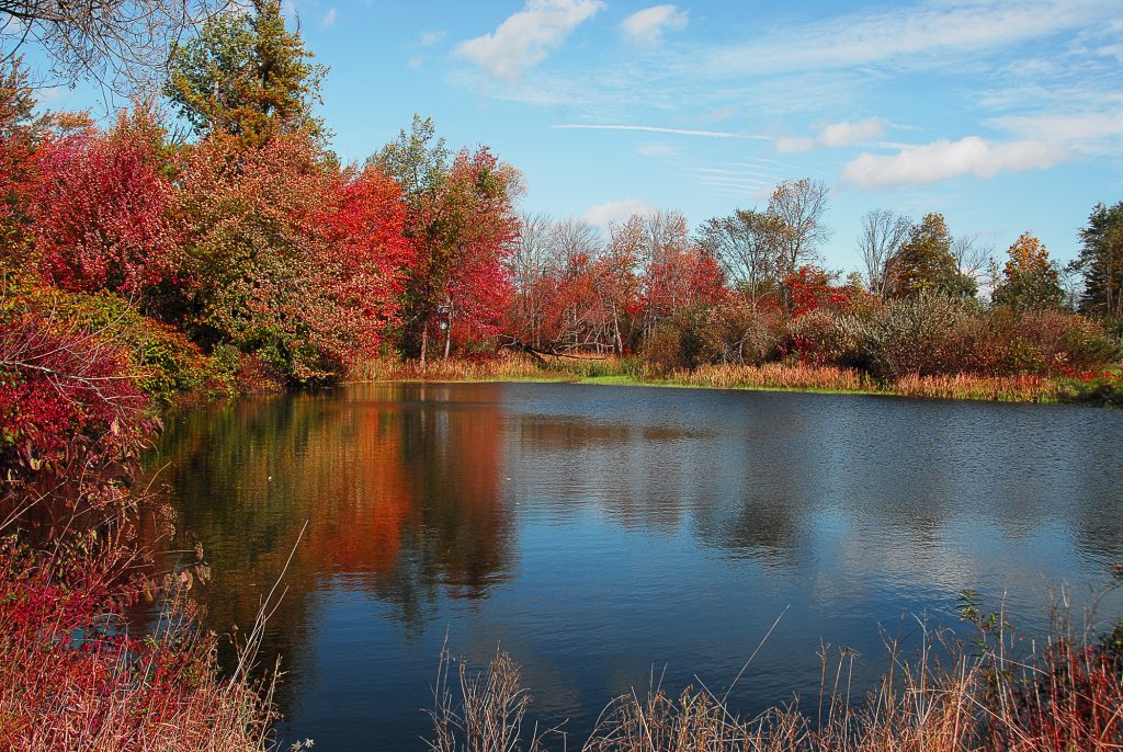 Kimball Pond New England