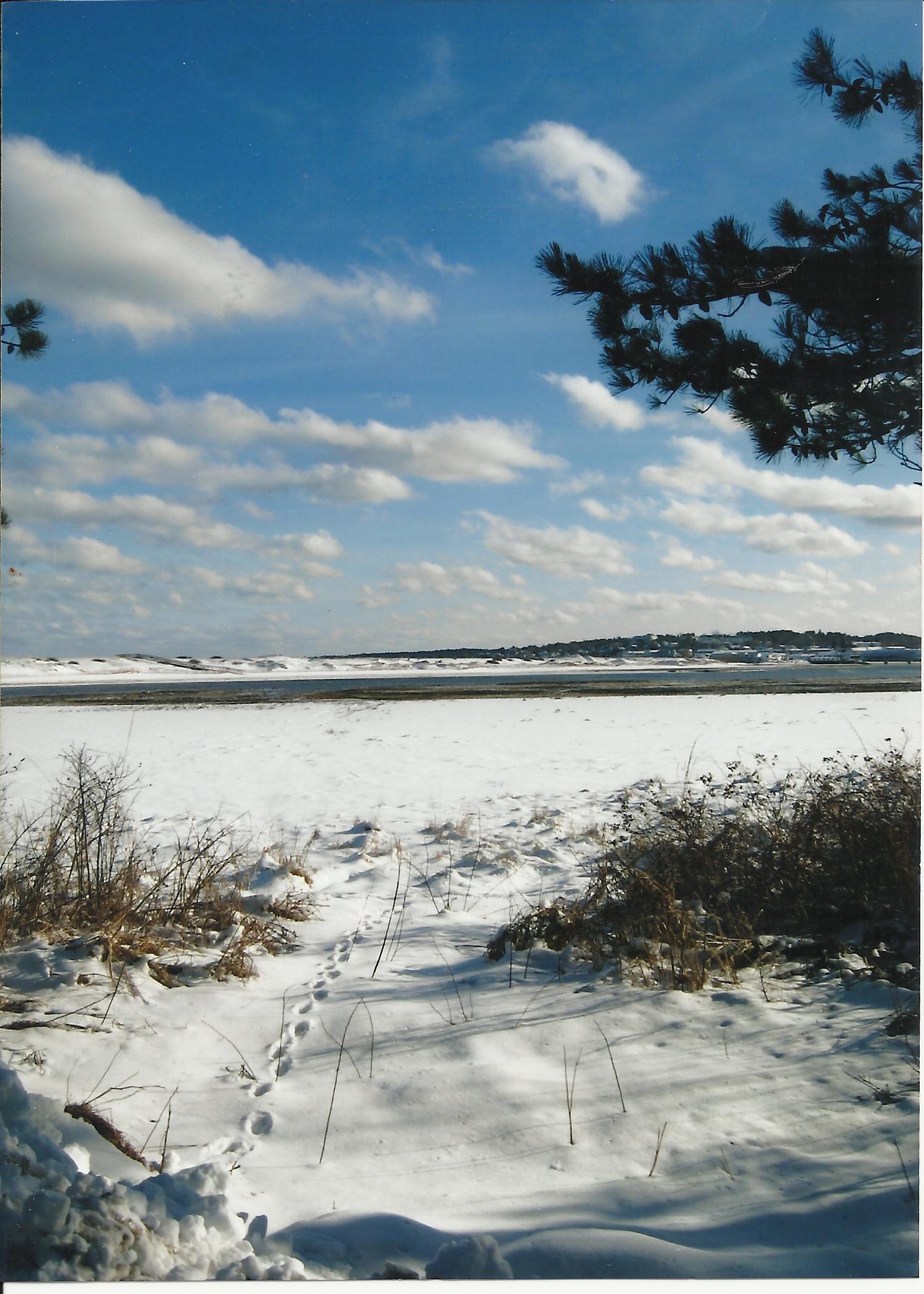 Winter Time  On The Ogunquit River  (user submitted)