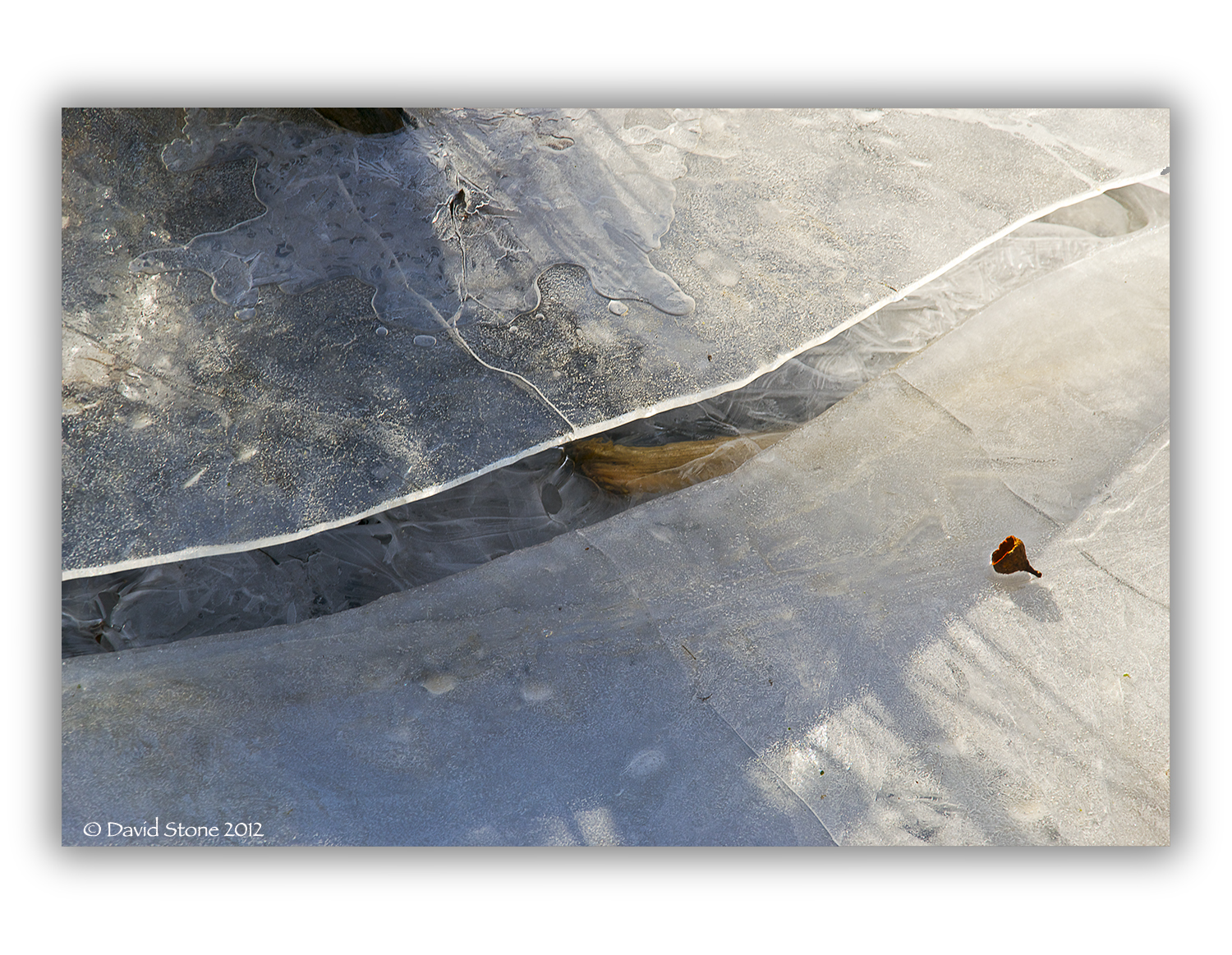 Beaver Pond Ice (user submitted)