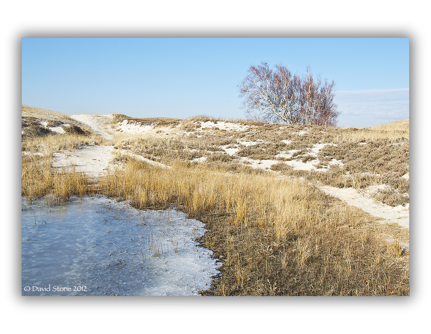 Dunes And Ice At Crane Beach (user submitted)