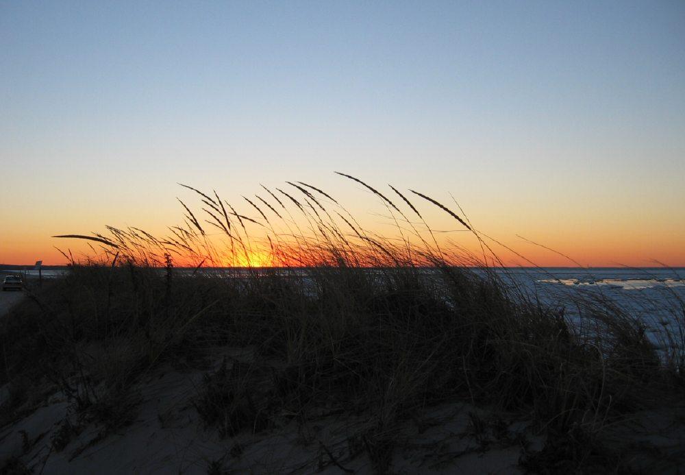 Beach grass sunset (user submitted)