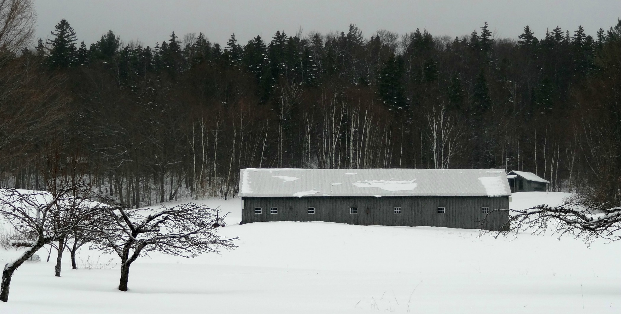 Barn, Wonalancet, Nh (user submitted)