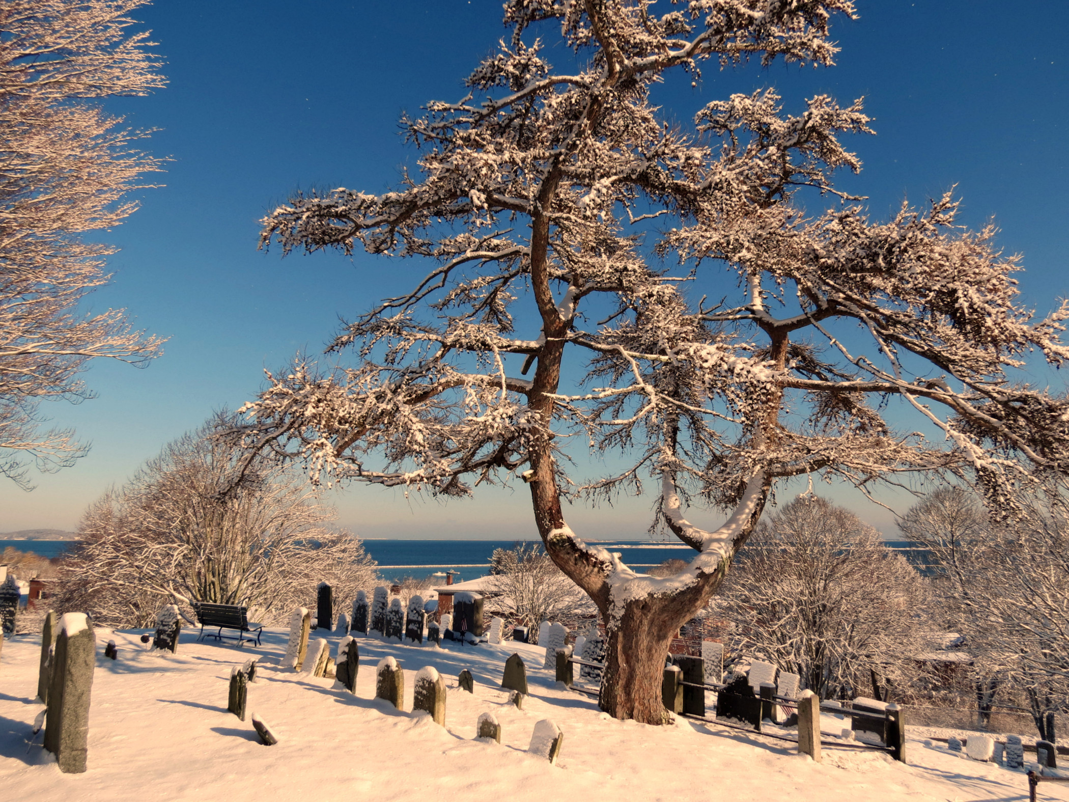 Snowy Cemetery (user submitted)