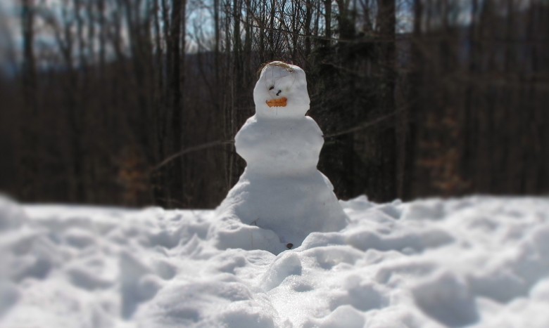 Snowman (user submitted)