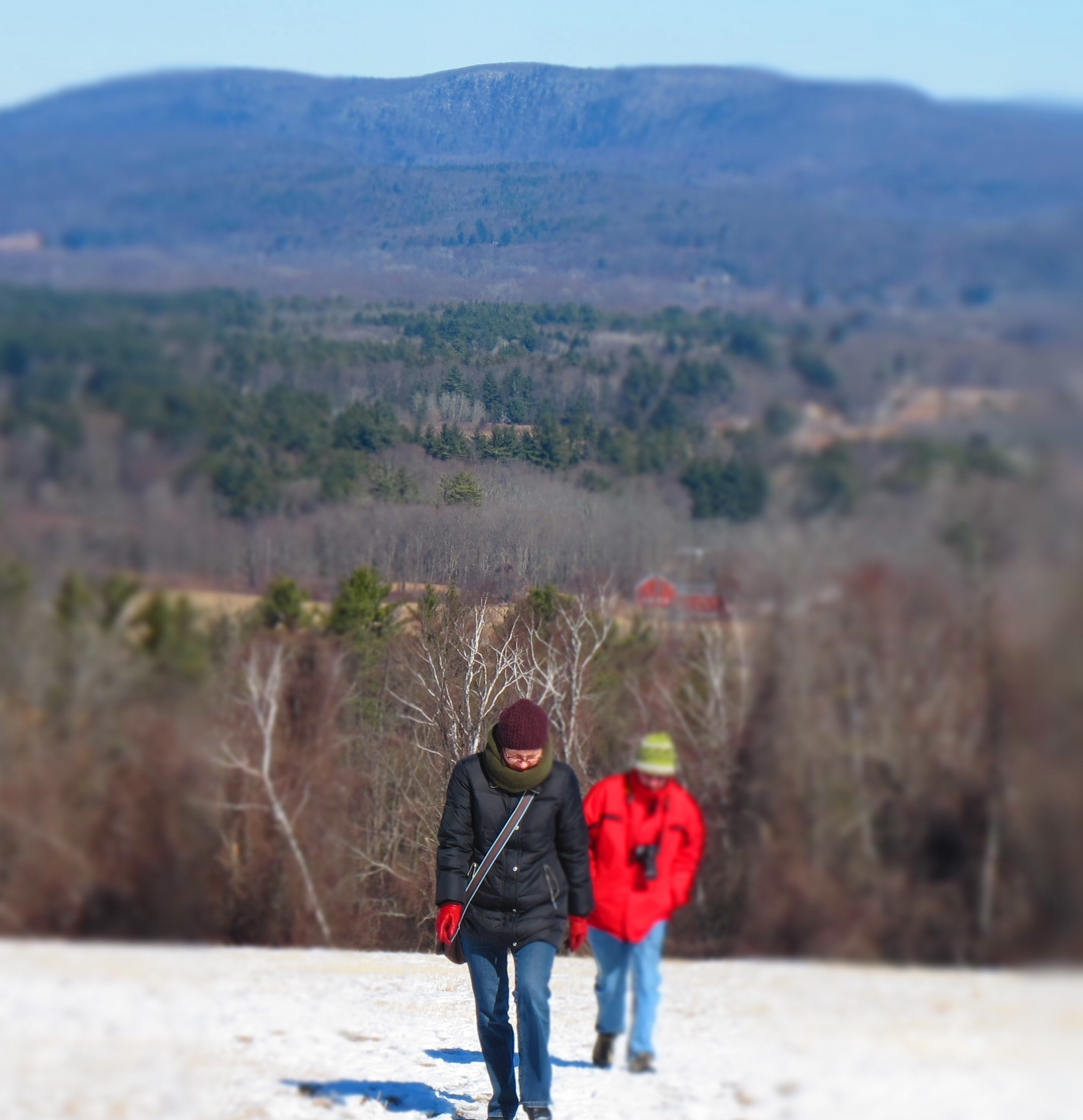 Hikers (user submitted)