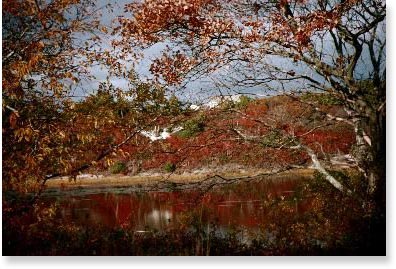 Cape Cod in Autumn (user submitted)