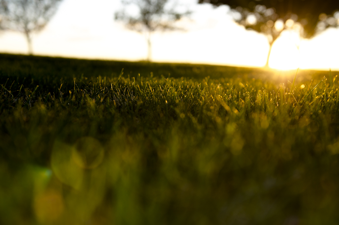 Simple Natural Beauty - New England