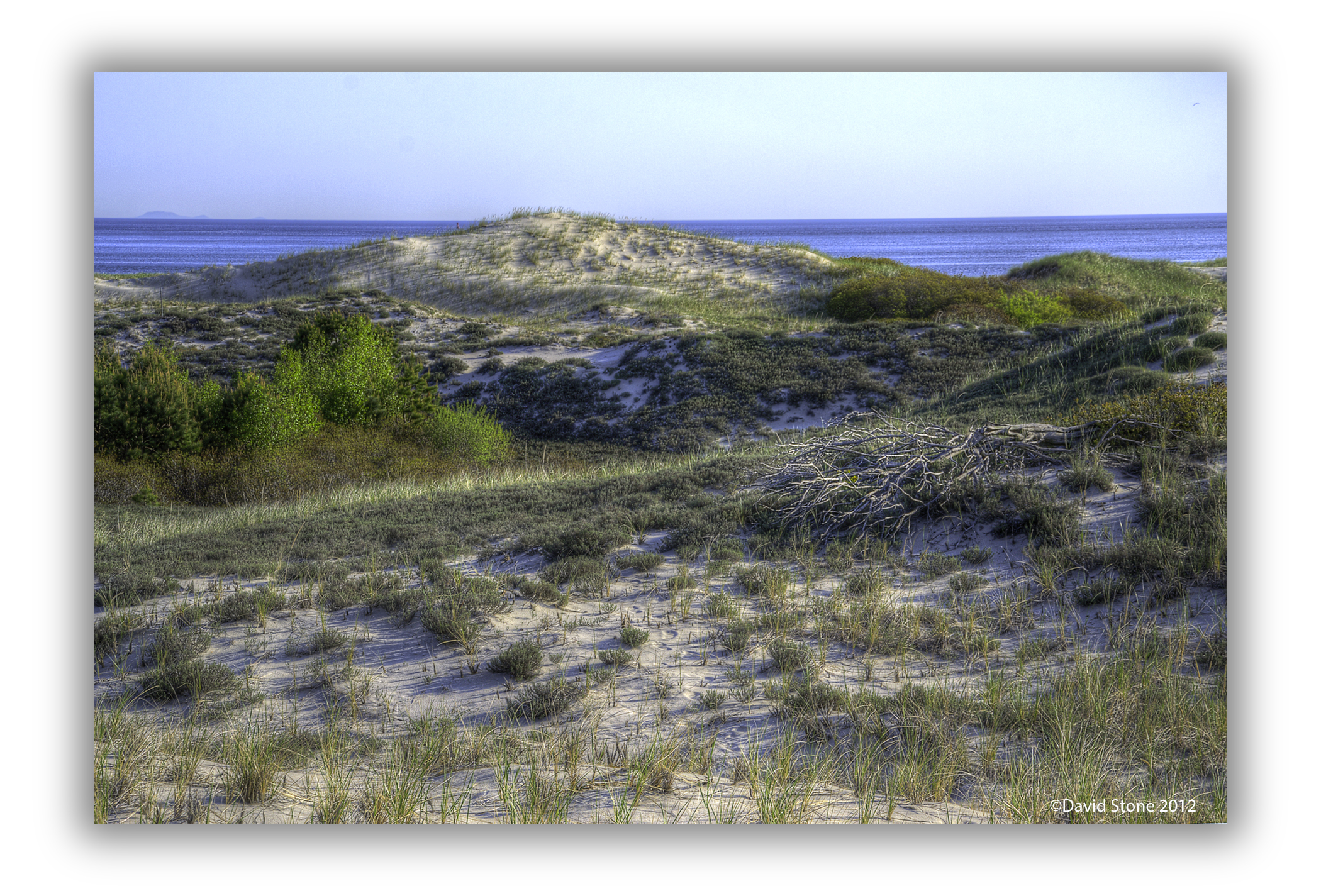 Crane Beach Dune (user submitted)