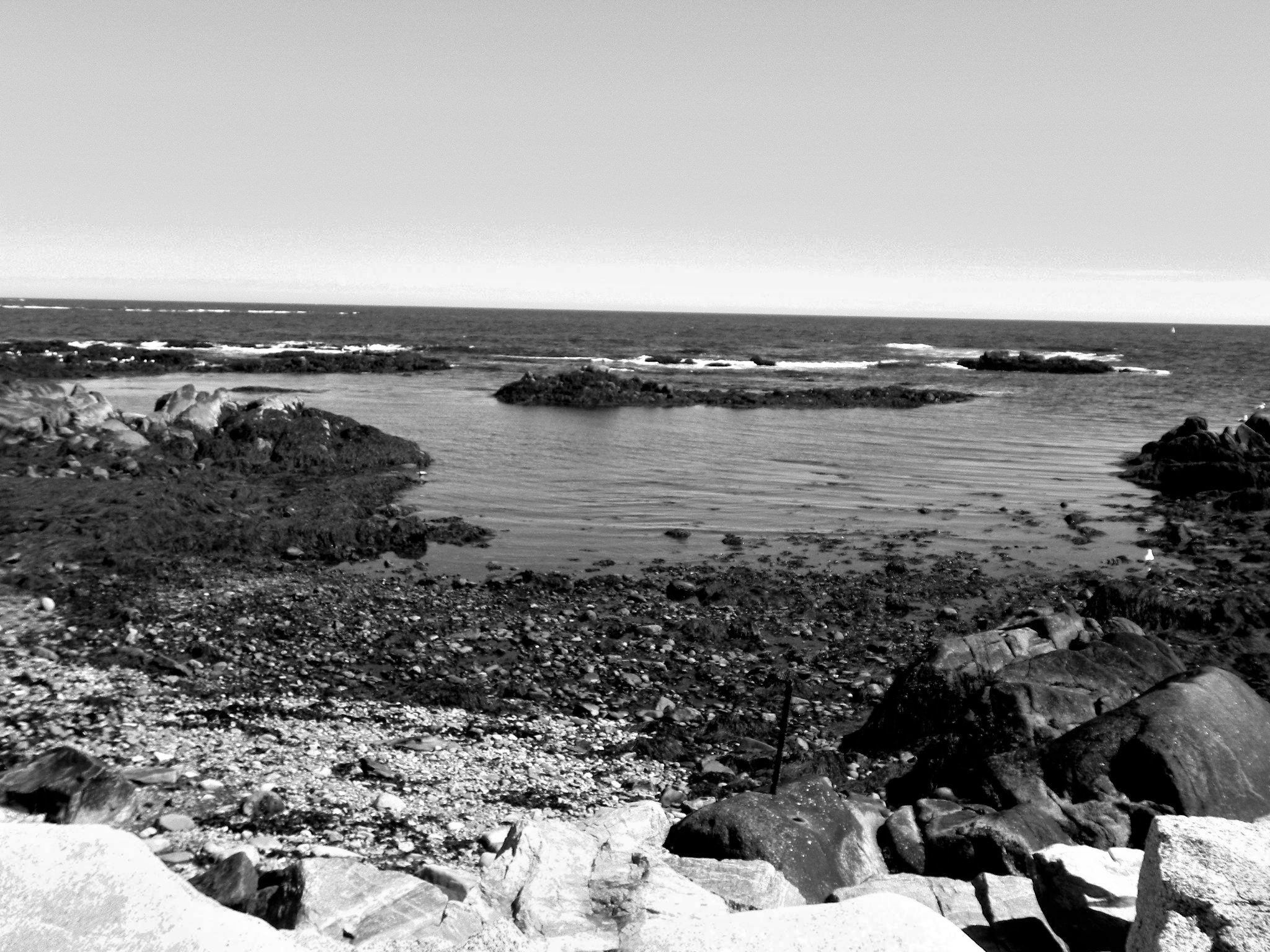 Kennebunkport Coast (user submitted)