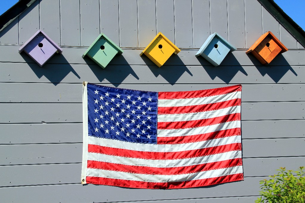 Patriotic Birdsshed (user submitted)