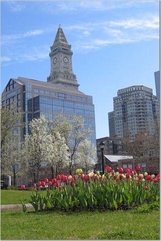 Custom House Tower in Spring (user submitted)