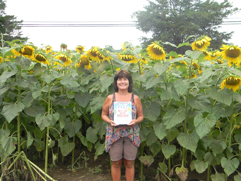 Nancy Norbeck At Buttonwood Farms (user submitted)