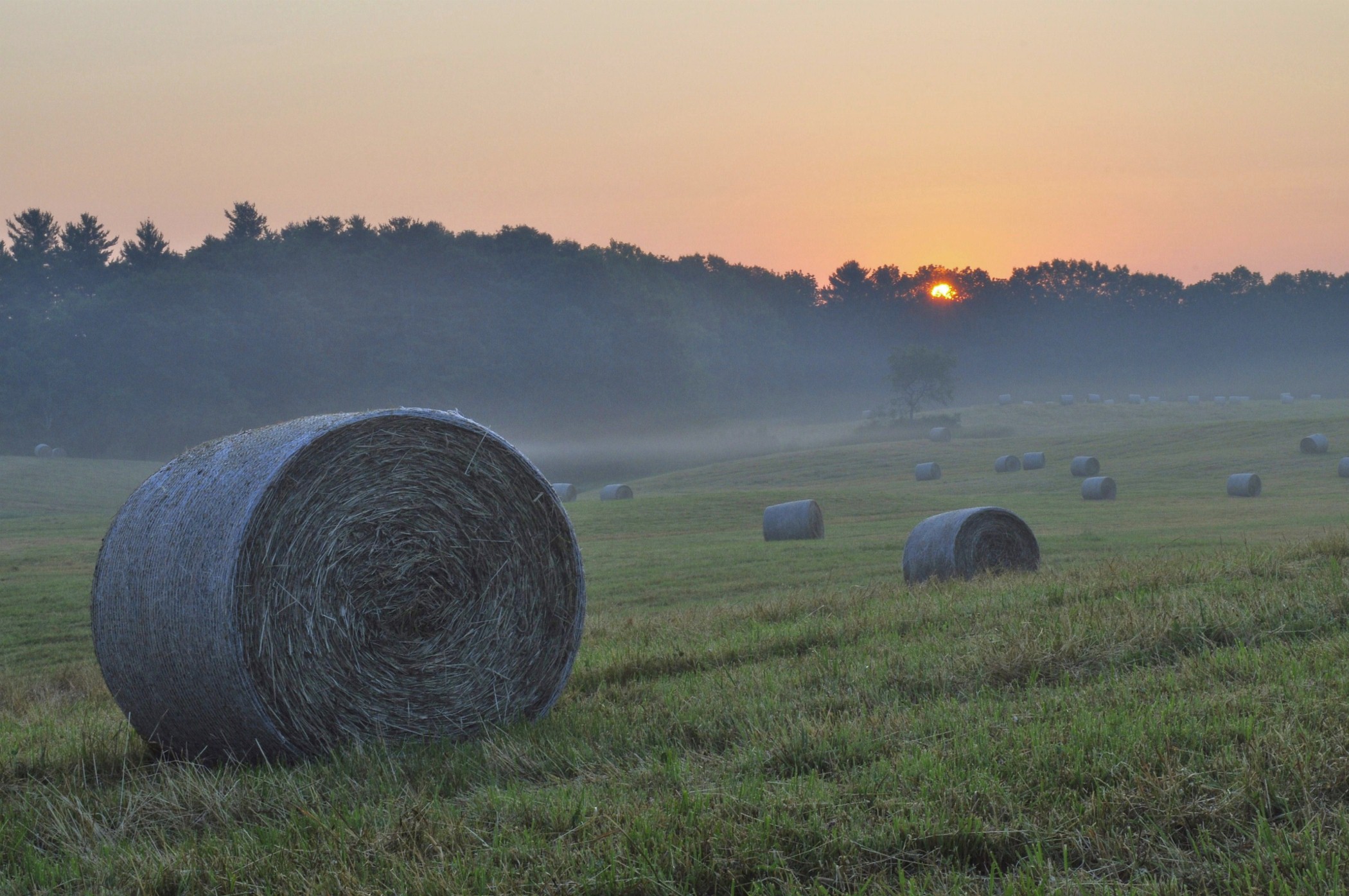 Hayfield Sunrise (user submitted)