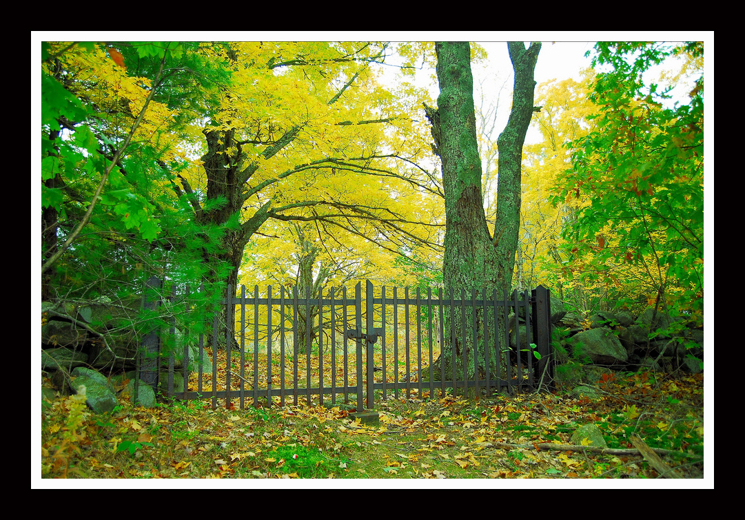 Gonic Cemetery Gates (user submitted)