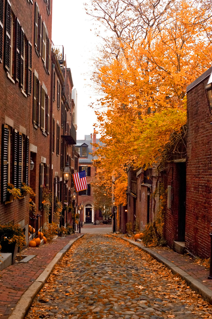 Autumn On Acorn St. (user submitted)