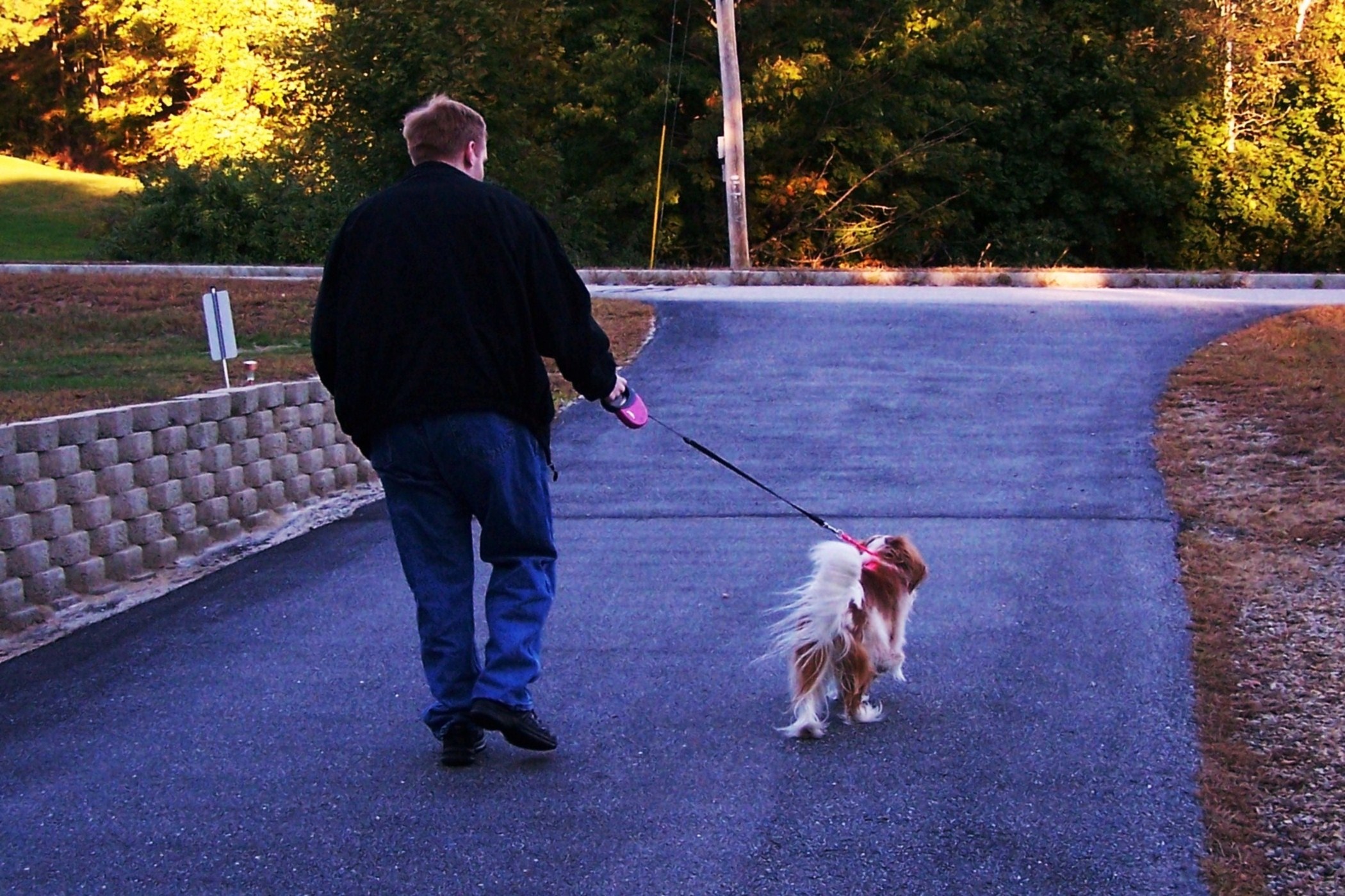 Walking Duchess (user submitted)