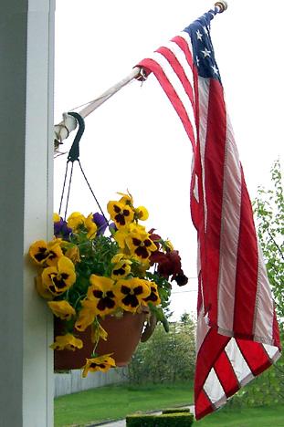 Flag &amp; Pansies (user submitted)