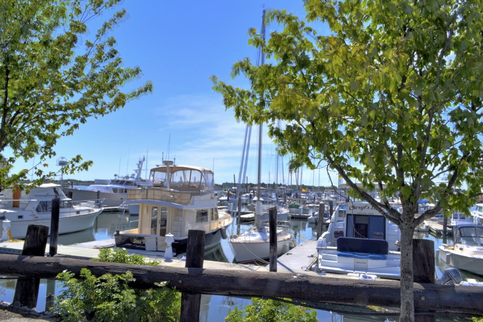 The Harbor