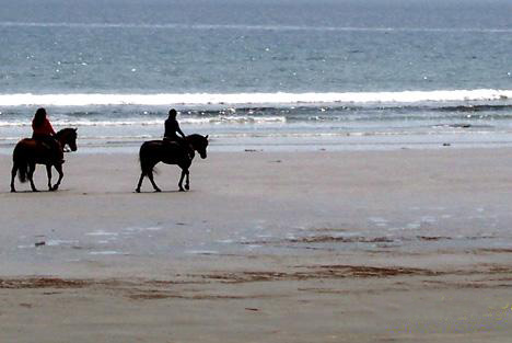 Beach Stroll By Horseback (user submitted)