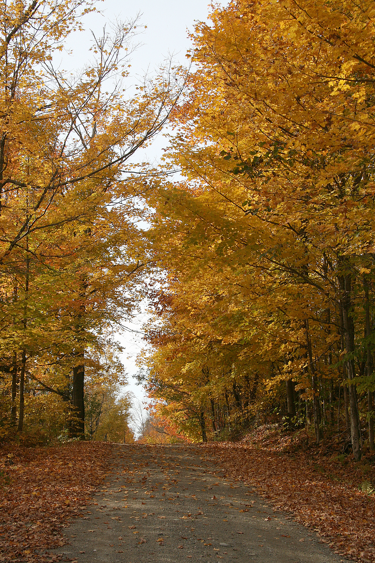 Fall Road (user submitted)
