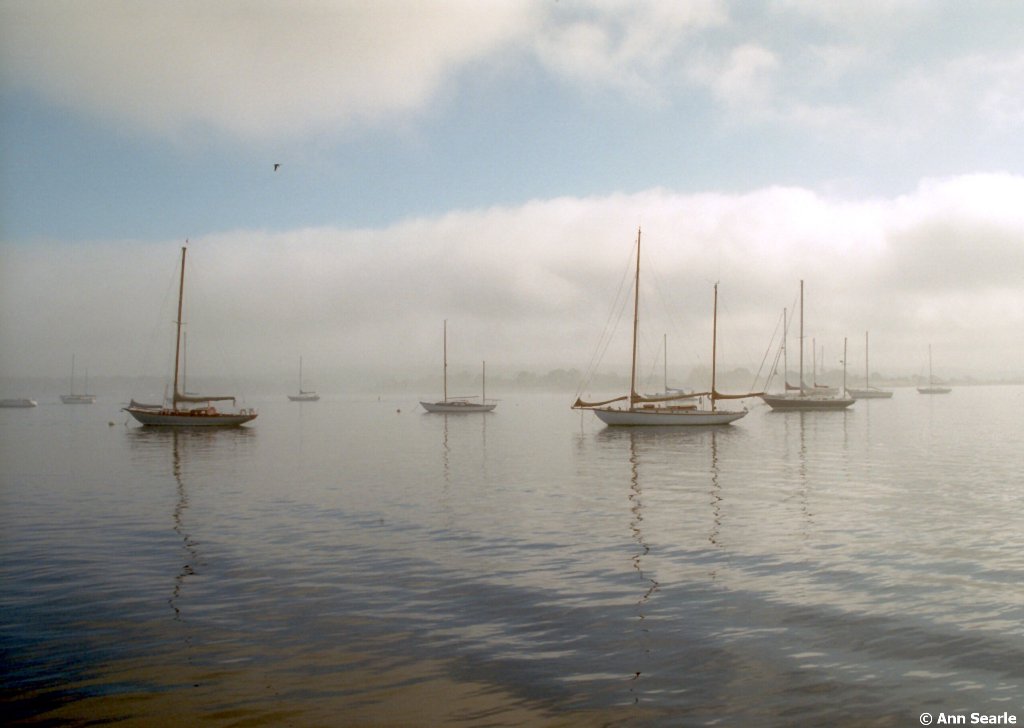 Boats &amp; Fog (user submitted)
