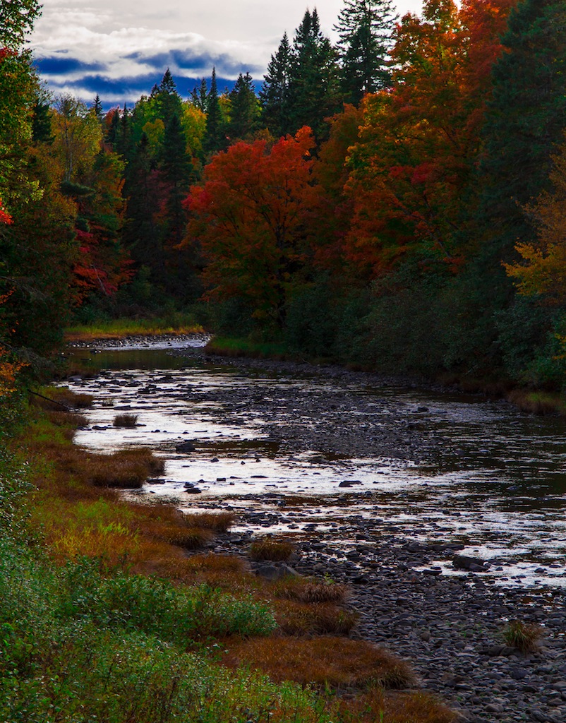Fall On The Riverbed (user submitted)