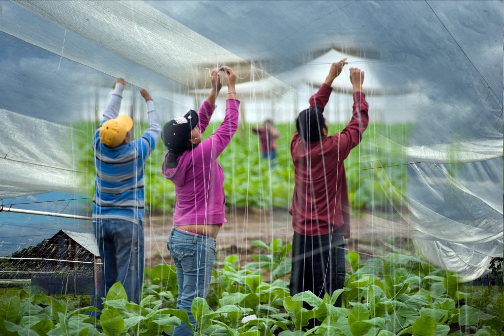 Securing The Netting