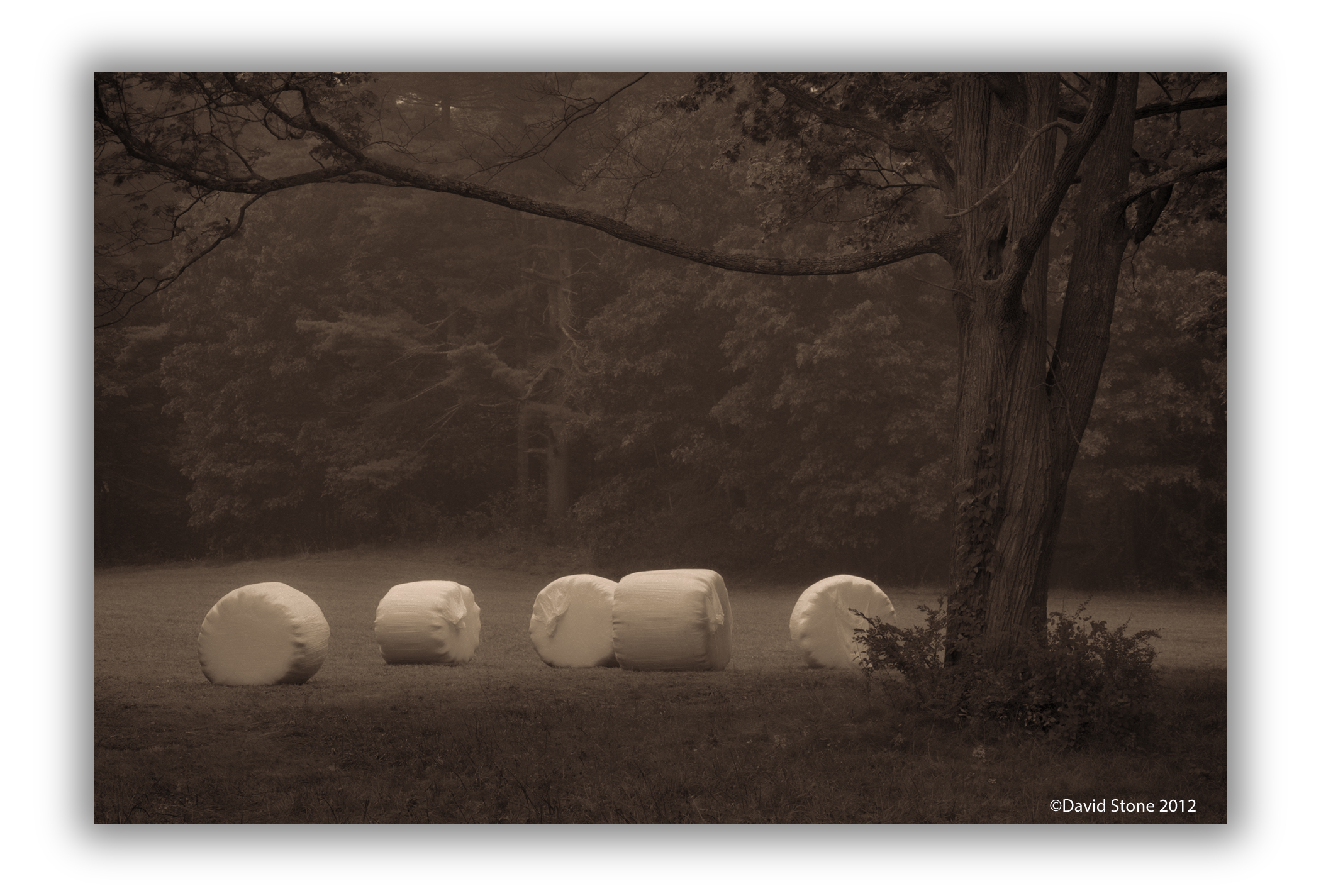 Hay Bales At Appleton Farm (user submitted)