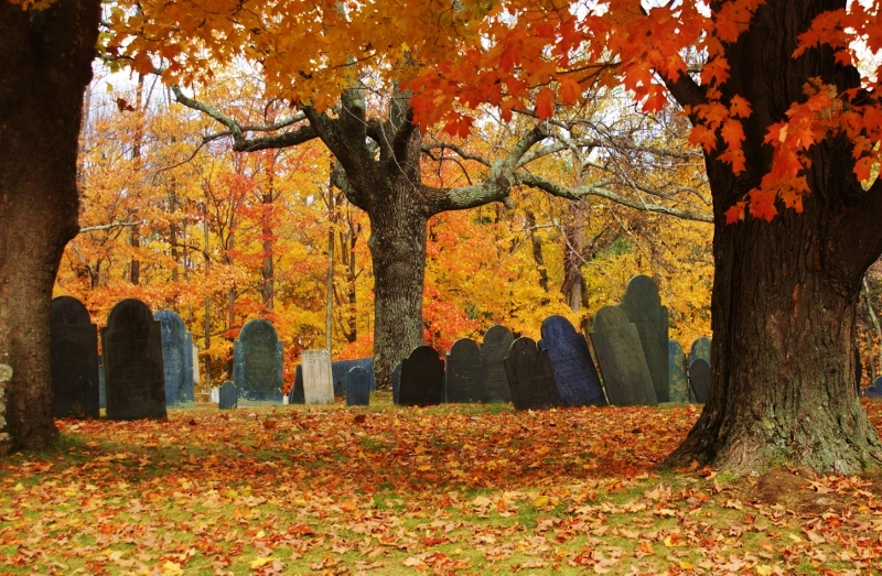 Ashby Cemetary In Autumn (user submitted)