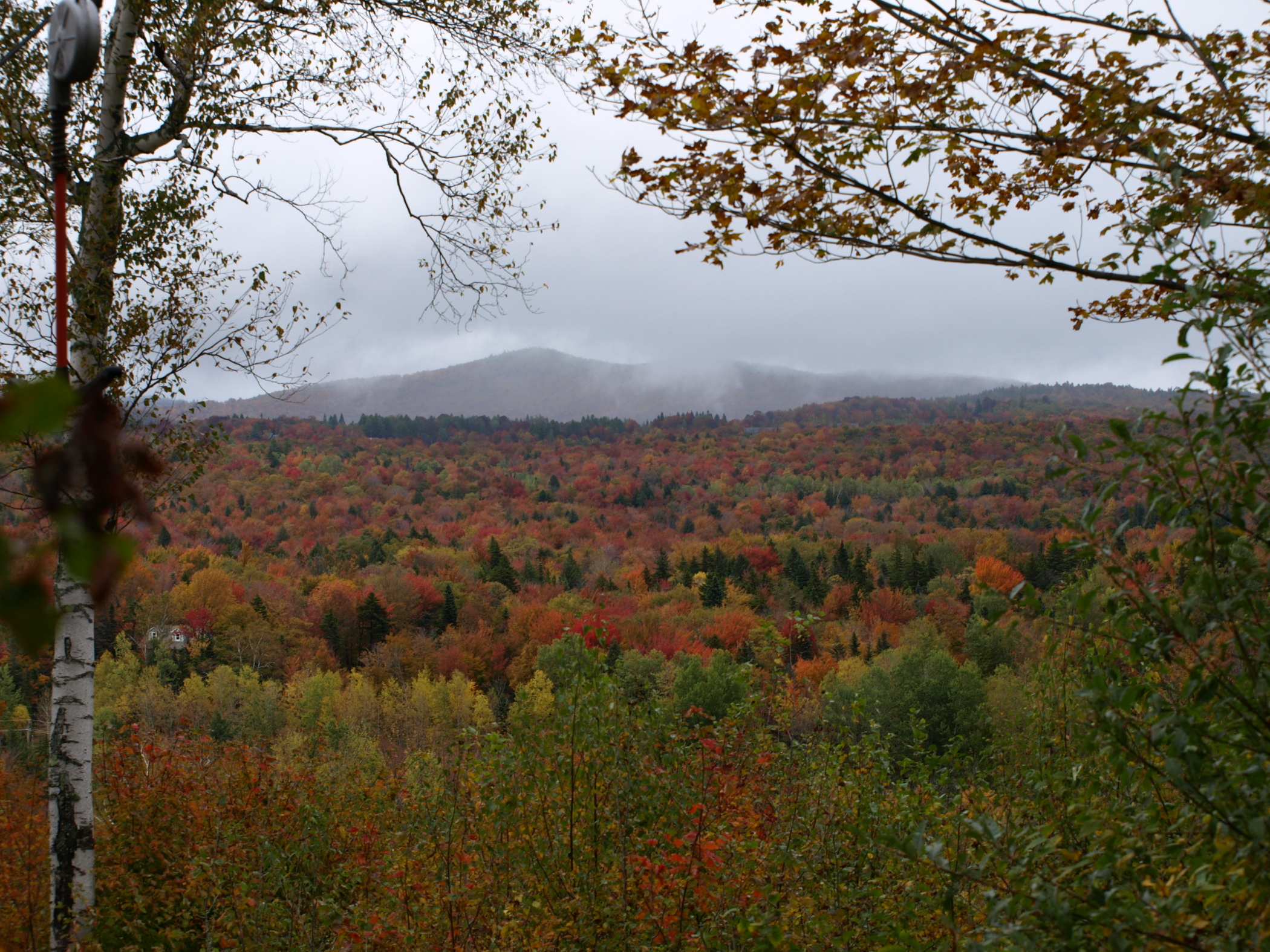 Foliage Vista &#8211; Wilmington, Vt (user submitted)